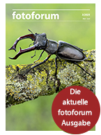 fotoforum Magazin 5/2023